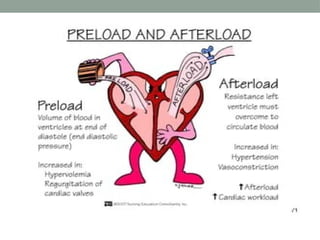Cardiovascular assessment for nurses.pptx