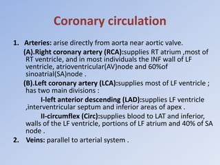 Coronary circulation
1. Arteries: arise directly from aorta near aortic valve.
(A).Right coronary artery (RCA):supplies RT atrium ,most of
RT ventricle, and in most individuals the INF wall of LF
ventricle, atrioventricular(AV)node and 60%of
sinoatrial(SA)node .
(B).Left coronary artery (LCA):supplies most of LF ventricle ;
has two main divisions :
I-left anterior descending (LAD):supplies LF ventricle
,interventricular septum and inferior areas of apex .
II-circumflex (Circ):supplies blood to LAT and inferior,
walls of the LF ventricle, portions of LF atrium and 40% of SA
node .
2. Veins: parallel to arterial system .
 