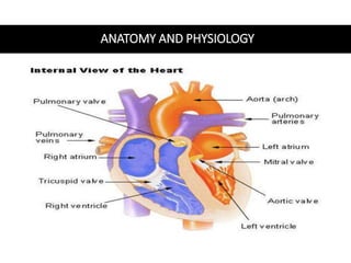 ANATOMY AND PHYSIOLOGY
 