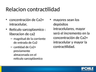 Relacion contractilidad
• concentración de Ca2+
intracelular,
• Reticulo sarcoplasmico :
liberacion de ca2
– magnitud de la corriente
de entrada de Ca2
– cantidad de Ca2+
previamente
almacenada en el
retículo sarcoplásmico
• mayores sean los
depósitos
intracelulares, mayor
será el incremento en la
concentración de Ca2+
intracelular y mayor la
contractilidad.
 