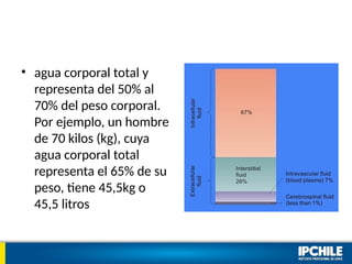 • agua corporal total y
representa del 50% al
70% del peso corporal.
Por ejemplo, un hombre
de 70 kilos (kg), cuya
agua corporal total
representa el 65% de su
peso, tiene 45,5kg o
45,5 litros
 