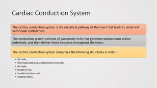 Cardiac Conduction System
The cardiac conduction system is the electrical pathway of the heart that leads to atrial and
ventricular contraction.
The conduction system consists of pacemaker cells that generate spontaneous action
potentials, and then deliver those impulses throughout the heart.
The cardiac conduction system comprises the following structures in order:
• SA node,
• internodal pathway and Bachmann’s bundle,
• AV node,
• bundle of His,
• bundle branches, and
• Purkinje fibers.
 