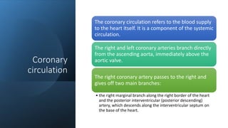 Coronary
circulation
The coronary circulation refers to the blood supply
to the heart itself. It is a component of the systemic
circulation.
The right and left coronary arteries branch directly
from the ascending aorta, immediately above the
aortic valve.
The right coronary artery passes to the right and
gives off two main branches:
• the right marginal branch along the right border of the heart
and the posterior interventricular (posterior descending)
artery, which descends along the interventricular septum on
the base of the heart.
 