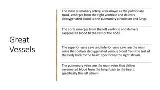 Great
Vessels
The main pulmonary artery, also known as the pulmonary
trunk, emerges from the right ventricle and delivers
deoxygenated blood to the pulmonary circulation and lungs.
The aorta emerges from the left ventricle and delivers
oxygenated blood to the rest of the body.
The superior vena cava and inferior vena cava are the main
veins that deliver deoxygenated venous blood from the rest of
the body back to the heart, specifically the right atrium.
The pulmonary veins are the main veins that deliver
oxygenated blood from the lungs back to the heart,
specifically the left atrium.
 