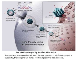 FIG: Gene therapy using an adenovirus vector
In some cases, the adenovirus will insert the new gene into a cell. If the treatment is
successful, the new gene will make a functional protein to treat a disease.
 