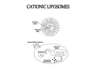 CATIONIC LIPOSOMES
 