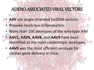 ADENO-ASSOCIATED VIRAL VECTORS
• AAV are single-stranded (ss)DNA vectors.
• Provoke much less inflammation
• More than 100 serotypes of the wild-type AAV
• AAV1, AAV6, AAV8, and AAV9 have been
identified as the most cardiotropic serotypes
• AAV9 was the most efficient serotype for
cardiac gene delivery in mice.
 