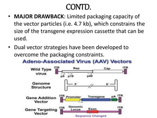 CONTD.
• MAJOR DRAWBACK: Limited packaging capacity of
the vector particles (i.e. 4.7 kb), which constrains the
size of the transgene expression cassette that can be
used.
• Dual vector strategies have been developed to
overcome the packaging constraints.
 