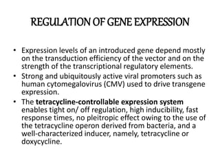 REGULATIONOF GENE EXPRESSION
• Expression levels of an introduced gene depend mostly
on the transduction efficiency of the vector and on the
strength of the transcriptional regulatory elements.
• Strong and ubiquitously active viral promoters such as
human cytomegalovirus (CMV) used to drive transgene
expression.
• The tetracycline-controllable expression system
enables tight on/ off regulation, high inducibility, fast
response times, no pleitropic effect owing to the use of
the tetracycline operon derived from bacteria, and a
well-characterized inducer, namely, tetracycline or
doxycycline.
 