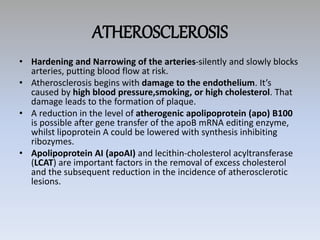 ATHEROSCLEROSIS
• Hardening and Narrowing of the arteries-silently and slowly blocks
arteries, putting blood flow at risk.
• Atherosclerosis begins with damage to the endothelium. It’s
caused by high blood pressure,smoking, or high cholesterol. That
damage leads to the formation of plaque.
• A reduction in the level of atherogenic apolipoprotein (apo) B100
is possible after gene transfer of the apoB mRNA editing enzyme,
whilst lipoprotein A could be lowered with synthesis inhibiting
ribozymes.
• Apolipoprotein AI (apoAI) and lecithin-cholesterol acyltransferase
(LCAT) are important factors in the removal of excess cholesterol
and the subsequent reduction in the incidence of atherosclerotic
lesions.
 