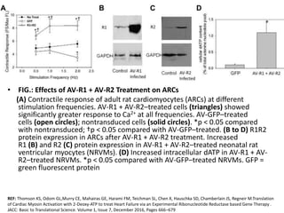 • FIG.: Effects of AV-R1 + AV-R2 Treatment on ARCs
(A) Contractile response of adult rat cardiomyocytes (ARCs) at different
stimulation frequencies. AV-R1 + AV-R2–treated cells (triangles) showed
significantly greater response to Ca2+ at all frequencies. AV-GFP–treated
cells (open circles); nontransduced cells (solid circles). *p < 0.05 compared
with nontransduced; †p < 0.05 compared with AV-GFP–treated. (B to D) R1R2
protein expression in ARCs after AV-R1 + AV-R2 treatment. Increased
R1 (B) and R2 (C) protein expression in AV-R1 + AV-R2–treated neonatal rat
ventricular myocytes (NRVMs). (D) Increased intracellular dATP in AV-R1 + AV-
R2–treated NRVMs. *p < 0.05 compared with AV-GFP–treated NRVMs. GFP =
green fluorescent protein
REF: Thomson KS, Odom GL,Murry CE, Mahairas GE, Harami FM, Teichman SL, Chen X, Hauschka SD, Chamberlain JS, Regneir M.Translation
of Cardiac Myosin Activation with 2-Deoxy-ATP to treat Heart Failure via an Experimental Ribonucleotide Reductase based Gene Therapy .
JACC: Basic to Translational Science. Volume 1, Issue 7, December 2016, Pages 666–679
 