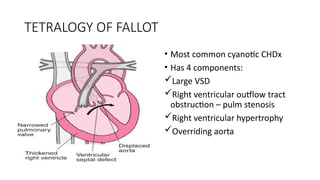 CARDIOVASCULAR DISORDERS.pptx gig fyv gff | PPTX