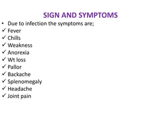 SIGN AND SYMPTOMS
• Due to infection the symptoms are;
 Fever
 Chills
 Weakness
 Anorexia
 Wt loss
 Pallor
 Backache
 Splenomegaly
 Headache
 Joint pain
 