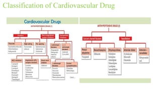 Classification of Cardiovascular Drug
 
