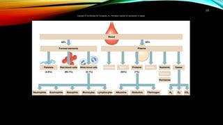 10
Blood
(4.8%) (95.1%) (0.1%)
Plasma
Hormones
MonocytesBasophilsEosinophilsNeutrophils
(54–62%) (1–3%) (<1%) (3–9%) (25–33%)
GlobulinsAlbumins
(92%) (7%)
N2 O2 CO2
Platelets Red blood cells Proteins Nutrients Gases
45% 55%
WastesWaterWhite blood cells Electrolytes
Vitamins
Lymphocytes Fibrinogen
Formed elements
Copyright © The McGraw-Hill Companies, Inc. Permission required for reproduction or display.
 