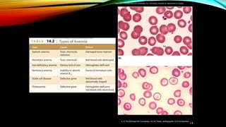 14
(b)
(a)
a: © The McGraw-Hill Companies, Inc./Al Telser, photographer :b © Ed Reschke
Copyright © The McGraw-Hill Companies, Inc. Permission required for reproduction or display.
 