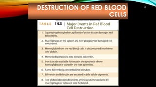 DESTRUCTION OF RED BLOOD
CELLS
15
 