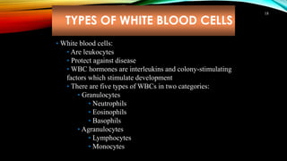 TYPES OF WHITE BLOOD CELLS
18
• White blood cells:
• Are leukocytes
• Protect against disease
• WBC hormones are interleukins and colony-stimulating
factors which stimulate development
• There are five types of WBCs in two categories:
• Granulocytes
• Neutrophils
• Eosinophils
• Basophils
• Agranulocytes
• Lymphocytes
• Monocytes
 