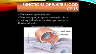 FUNCTIONS OF WHITE BLOOD
CELLS
24
• WBCs protect against infection
• These leukocytes can squeeze between the cells of
a capillary wall and enter the tissue space outside the
blood vessel (called diapedesis)
Blood capillary
Leukocyte
Connective
tissue
Copyright © The McGraw-Hill Companies, Inc. Permission required for reproduction or display.
 