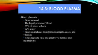 14.3: BLOOD PLASMA
28
• Blood plasma is:
• Straw colored
• The liquid portion of blood
• 55% of blood volume
• 92% water
• Function includes transporting nutrients, gases, and
vitamins
• Helps regulate fluid and electrolyte balance and
maintain pH
 