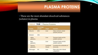 PLASMA PROTEINS
29
• These are the most abundant dissolved substances
(solutes) in plasma
 