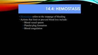 14.4: HEMOSTASIS
33
• Hemostasis refers to the stoppage of bleeding
• Actions that limit or prevent blood loss include:
• Blood vessel spasm
• Platelet plug formation
• Blood coagulation
 