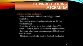 EXTRINSIC CLOTTING
MECHANISM
41
• Extrinsic clotting mechanism
• Chemical outside of blood vessel triggers blood
coagulation
• Triggered by tissue thromboplastin (factor III) (not
found in blood)
• A number of events occur that includes factor VII,
factor X, factor V, factor IV, and factor II (prothrombin)
• Triggered when blood contacts damaged blood vessel
walls or tissues
• This is an example of a positive feedback mechanism
 