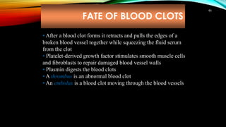 FATE OF BLOOD CLOTS
44
• After a blood clot forms it retracts and pulls the edges of a
broken blood vessel together while squeezing the fluid serum
from the clot
• Platelet-derived growth factor stimulates smooth muscle cells
and fibroblasts to repair damaged blood vessel walls
• Plasmin digests the blood clots
• A thrombus is an abnormal blood clot
• An embolus is a blood clot moving through the blood vessels
 