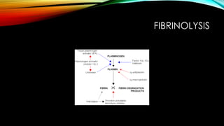 FIBRINOLYSIS
 