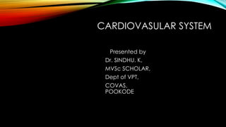 CARDIOVASULAR SYSTEM
Presented by
Dr. SINDHU. K,
MVSc SCHOLAR,
Dept of VPT,
COVAS,
POOKODE
 