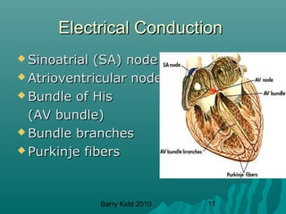 Barry Kidd 2010 11
Electrical ConductionElectrical Conduction
 Sinoatrial (SA) nodeSinoatrial (SA) node
 Atrioventricular nodeAtrioventricular node
 Bundle of HisBundle of His
(AV bundle)(AV bundle)
 Bundle branchesBundle branches
 Purkinje fibersPurkinje fibers
 