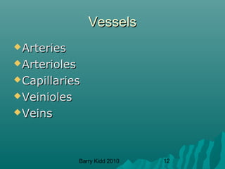 Barry Kidd 2010 12
VesselsVessels
ArteriesArteries
ArteriolesArterioles
CapillariesCapillaries
VeiniolesVeinioles
VeinsVeins
 