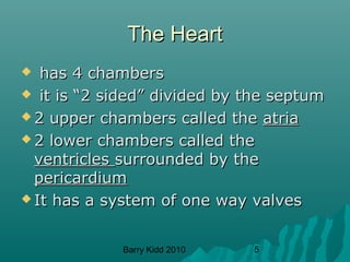 Barry Kidd 2010 5
The HeartThe Heart
 has 4 chambershas 4 chambers
 it is “2 sided” divided by the septumit is “2 sided” divided by the septum
 2 upper chambers called the2 upper chambers called the atriaatria
 2 lower chambers called the2 lower chambers called the
ventriclesventricles surrounded by thesurrounded by the
pericardiumpericardium
 It has a system of one way valvesIt has a system of one way valves
 