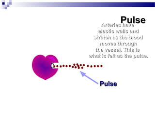 Cardiovascular endurance