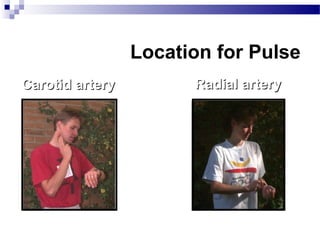 Cardiovascular endurance