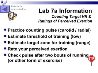 Cardiovascular endurance