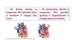 - Os átrios, direito e
esquerdo, têm paredes finas
e recebem o sangue das
veias.
https://www.educaplay.com/learning-resources/3737163-partes_del_corazon.html
- Os ventrículos, direito e
esquerdo, têm paredes
grossas e impulsionam o
sangue para as artérias.
 
