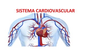 SISTEMA CARDIOVASCULAR
 