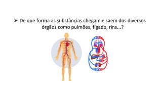 ⮚ De que forma as substâncias chegam e saem dos diversos
órgãos como pulmões, fígado, rins...?
 