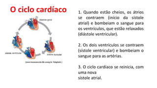 O ciclo cardíaco 1. Quando estão cheios, os átrios
se contraem (início da sístole
atrial) e bombeiam o sangue para
os ventrículos, que estão relaxados
(diástole ventricular).
2. Os dois ventrículos se contraem
(sístole ventricular) e bombeiam o
sangue para as artérias.
3. O ciclo cardíaco se reinicia, com
uma nova
sístole atrial.
 