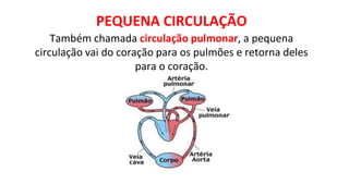 PEQUENA CIRCULAÇÃO
Também chamada circulação pulmonar, a pequena
circulação vai do coração para os pulmões e retorna deles
para o coração.
 
