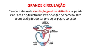 GRANDE CIRCULAÇÃO
Também chamada circulação geral ou sistêmica, a grande
circulação é o trajeto que leva o sangue do coração para
todos os órgãos do corpo e deles para o coração.
 