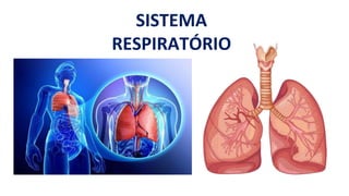 SISTEMA
RESPIRATÓRIO
 