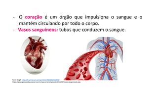 - O coração é um órgão que impulsiona o sangue e o
mantém circulando por todo o corpo.
- Vasos sanguíneos: tubos que conduzem o sangue.
Fonte do gif: https://br.pinterest.com/pin/633178028832502909/
https://www.gestaoeducacional.com.br/wp-content/uploads/2019/04/Vasos-sanguineos6.png
 