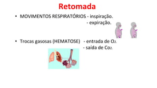 Retomada
• MOVIMENTOS RESPIRATÓRIOS - inspiração.
- expiração.
• Trocas gasosas (HEMATOSE) - entrada de O2.
- saída de Co2.
 