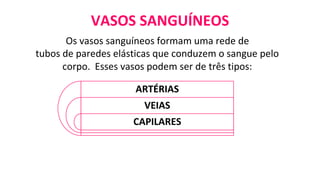 VASOS SANGUÍNEOS
Os vasos sanguíneos formam uma rede de
tubos de paredes elásticas que conduzem o sangue pelo
corpo. Esses vasos podem ser de três tipos:
ARTÉRIAS
VEIAS
CAPILARES
 