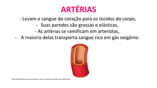 ARTÉRIAS
- Levam o sangue do coração para os tecidos do corpo,
- Suas paredes são grossas e elásticas,
- As artérias se ramificam em arteríolas,
- A maioria delas transporta sangue rico em gás oxigênio.
https://fisioteraloucos.com.br/arterias-veias-e-capilares-entenda-suas-diferencas/
 