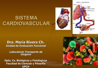 SISTEMA CARDIOVASCULAR Dra. María Rivera Ch. Unidad de Evaluación Funcional Laboratorio Transporte de Oxígeno Dpto. Cs. Biológicas y Fisiológicas Facultad de Ciencias y Filosofía UPCH 