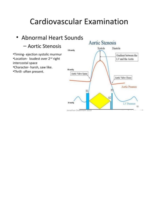Cardiovascular examination