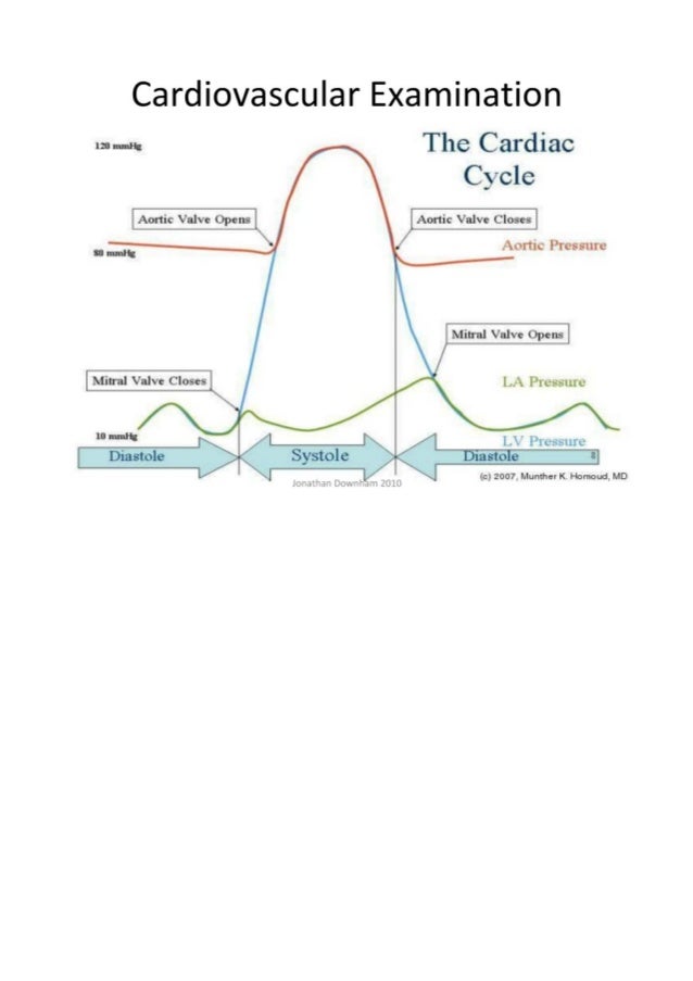 Cardiovascular examination